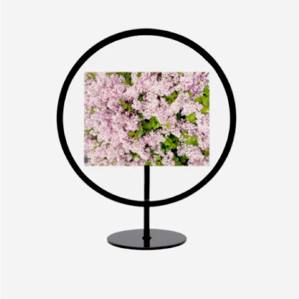 Umbra infinity picture frames 4x6 and 5x7